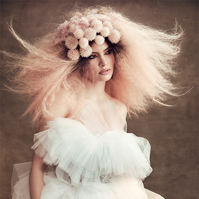 Contessa 37 Finalist Collection – Frank Cini
