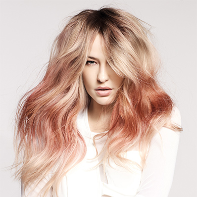 Contessa 37 Finalist Collection – Valentini Hair Design