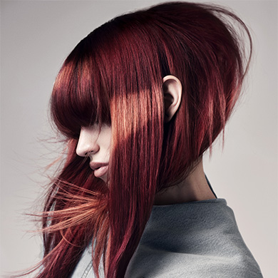 Contessa 37 Winning Collection – Andrew Smith