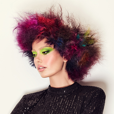 Contessa 37 Winning Collection – Robin LaChance